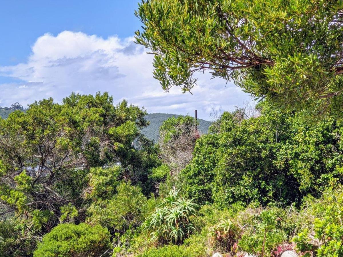 Villa Cape Garden Route Wildernis Esterno foto