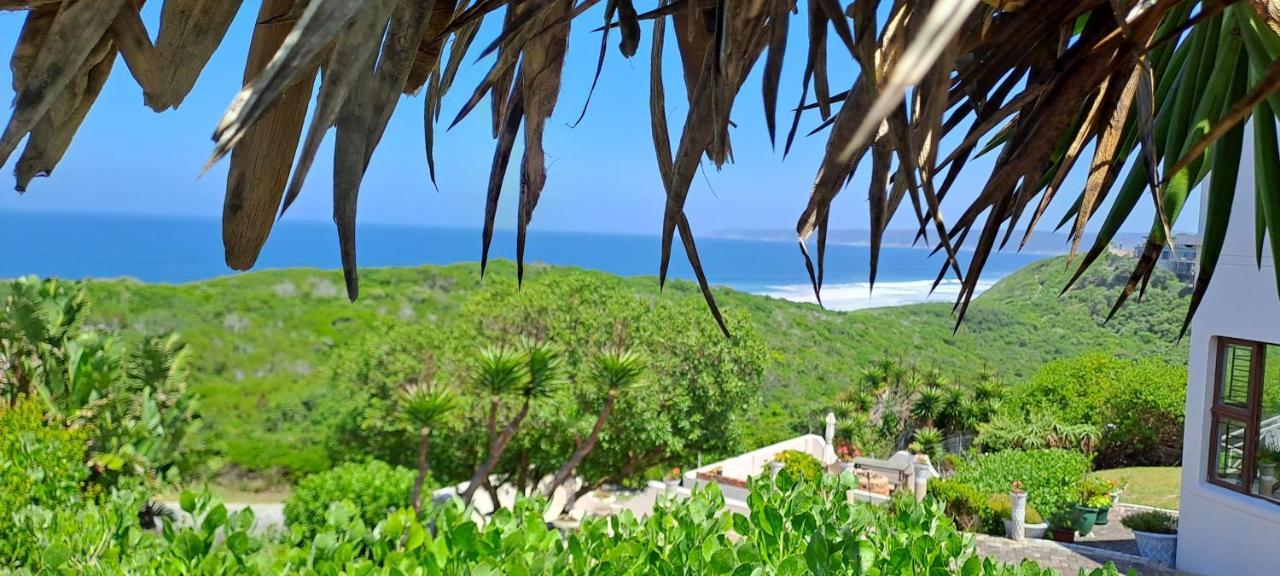 Villa Cape Garden Route Wildernis Esterno foto
